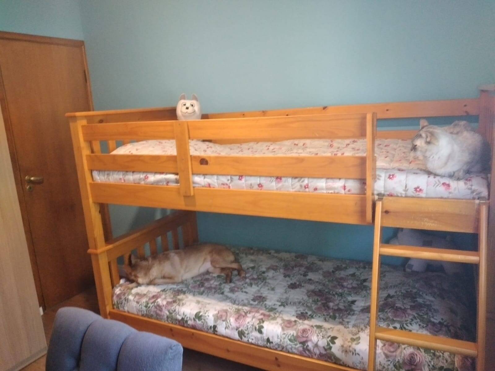 Apartamento, 3 quartos, 74 m² - Foto 13