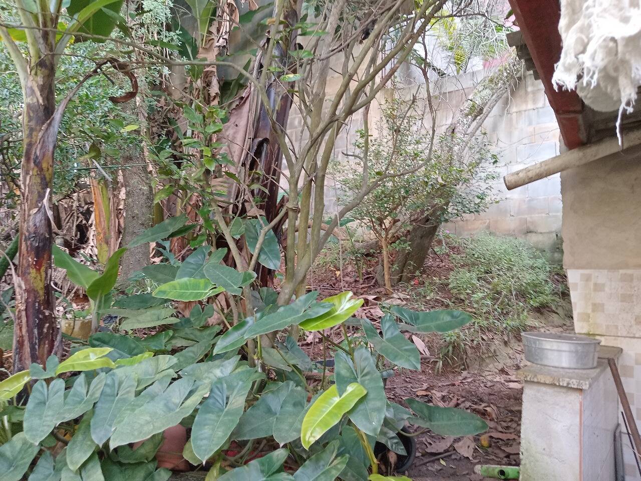 Casa, 3 quartos - Foto 42