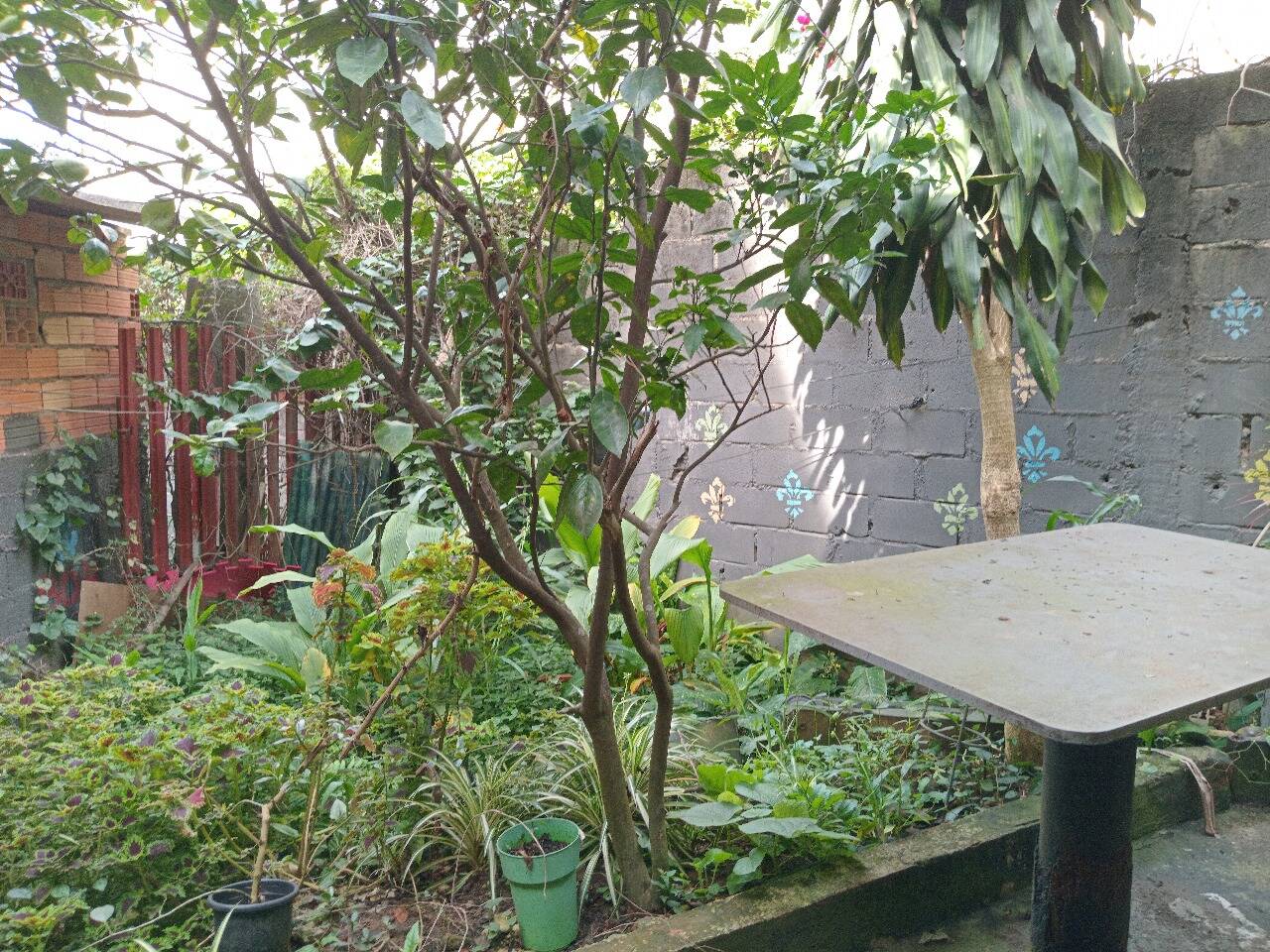 Casa, 3 quartos - Foto 41