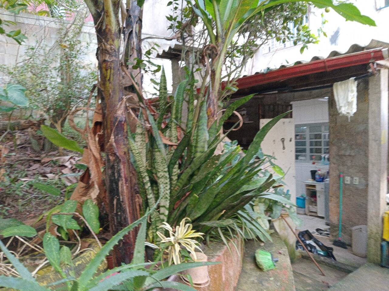 Casa, 3 quartos - Foto 40