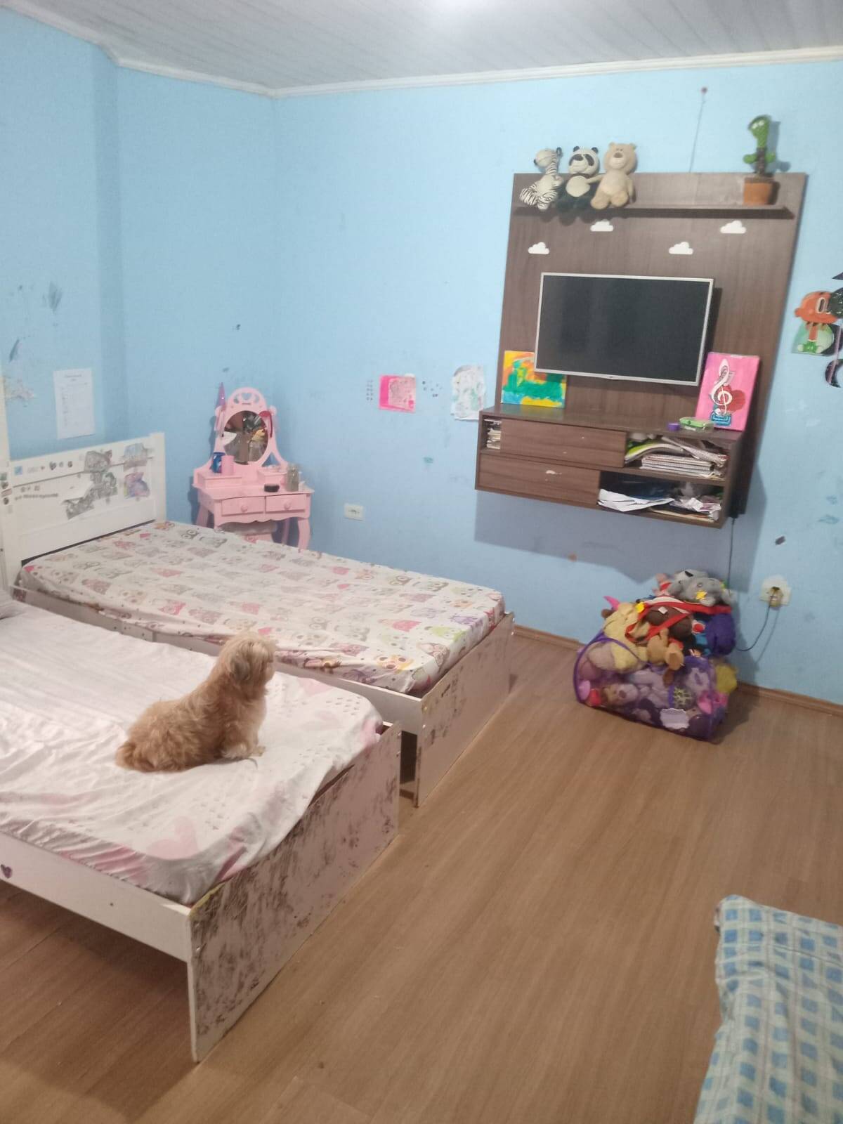 Casa, 4 quartos - Foto 6