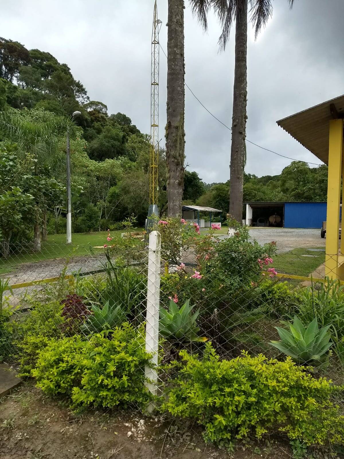 Terreno, 500 m² - Foto 6