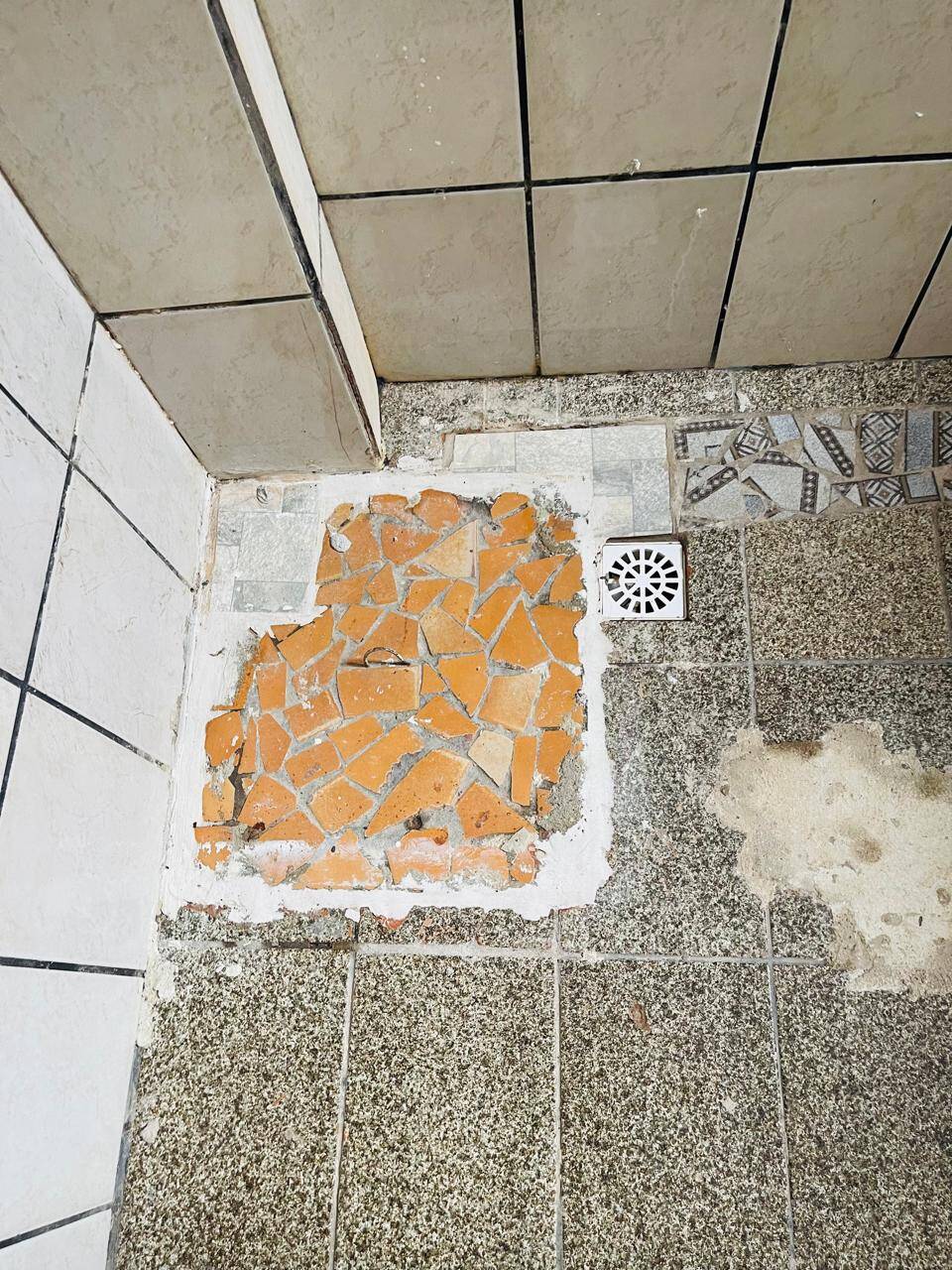 Casa, 8 quartos - Foto 16