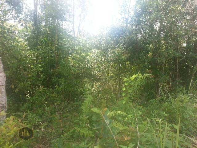 #T_95 - Área para Venda em Ibiúna - SP - 2