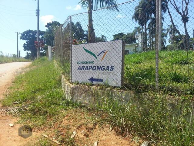 #T_95 - Área para Venda em Ibiúna - SP - 1